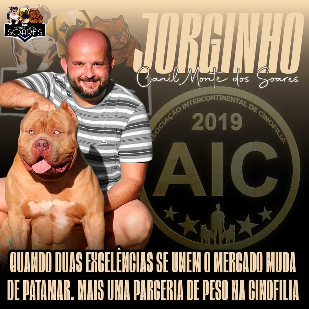 Jorginho