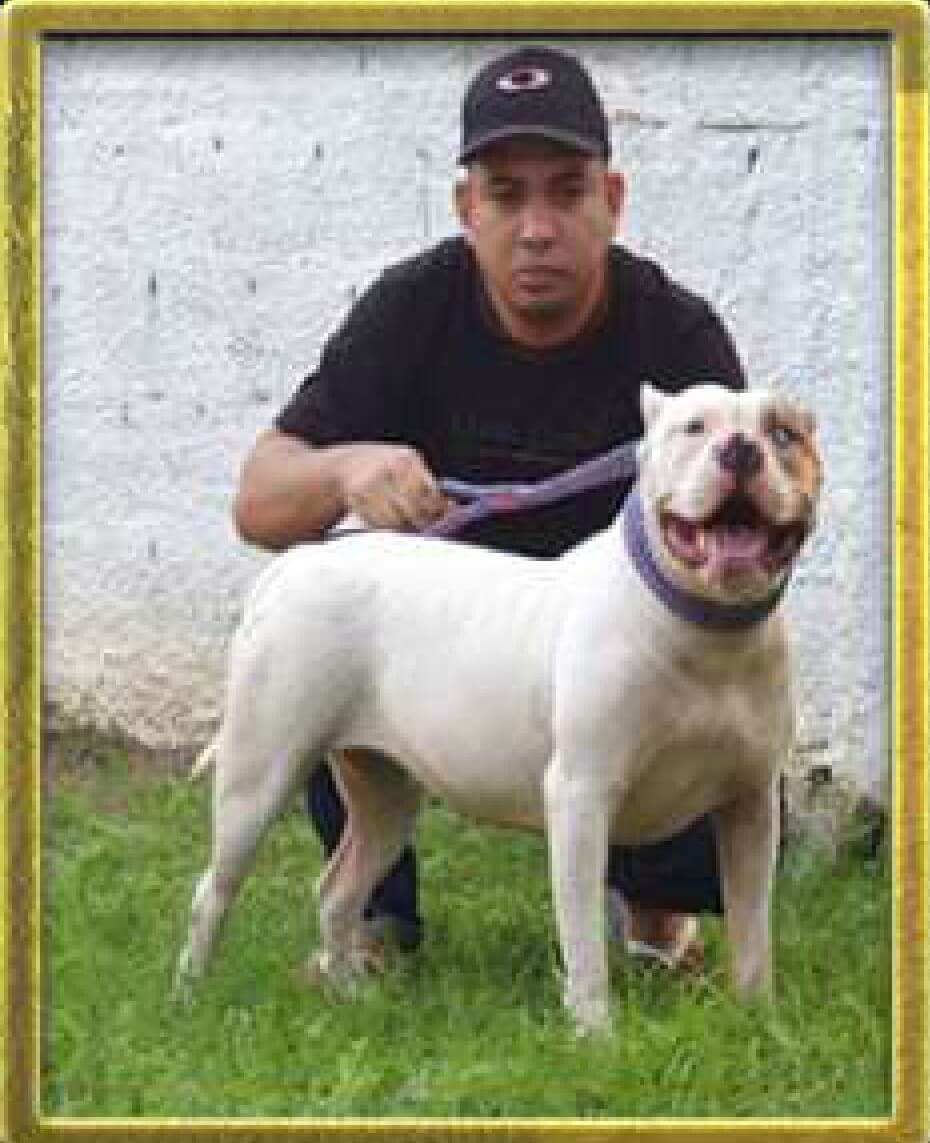 Marcos Welson Stringhini Arruda da Paz