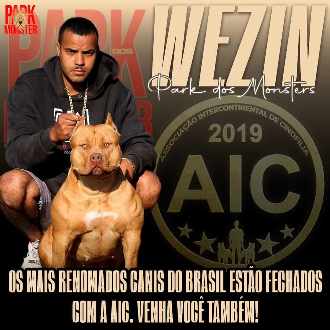 Wezin