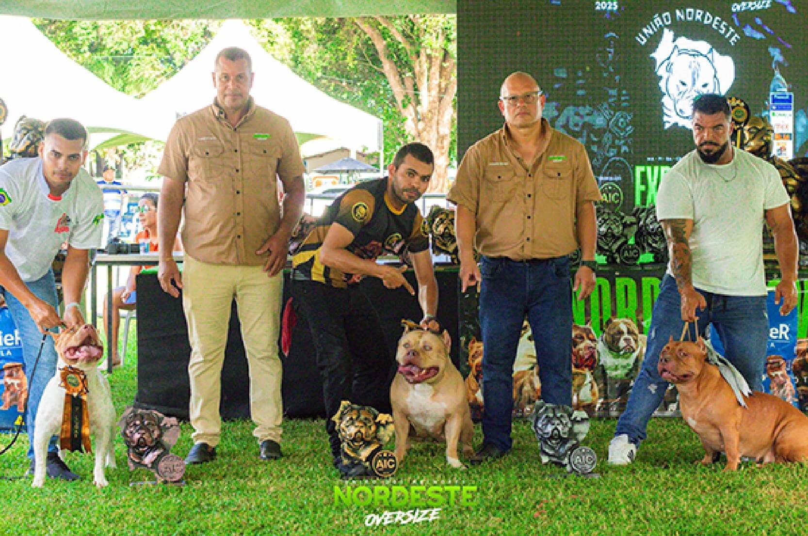 Nordeste Oversize Outubro D